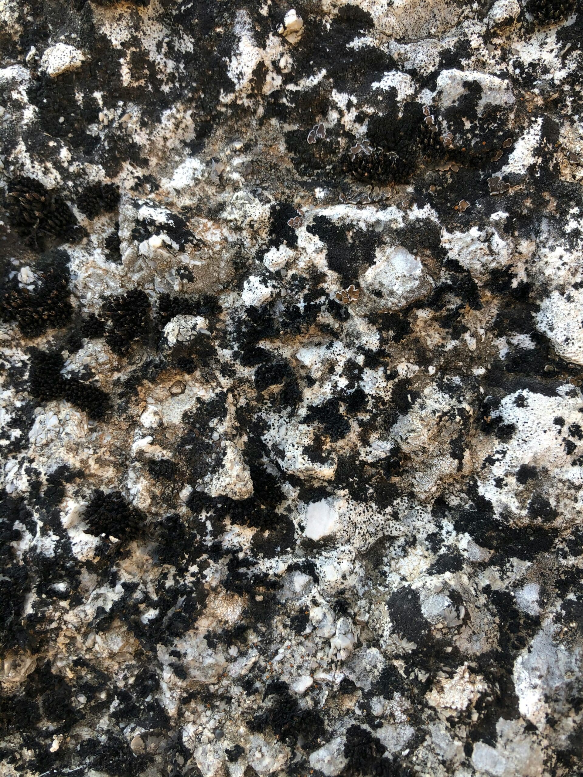 Thumbnail image for 'Granite Countertop Care: Common Mistakes, Expert Tips, and Top Cleaning Products'